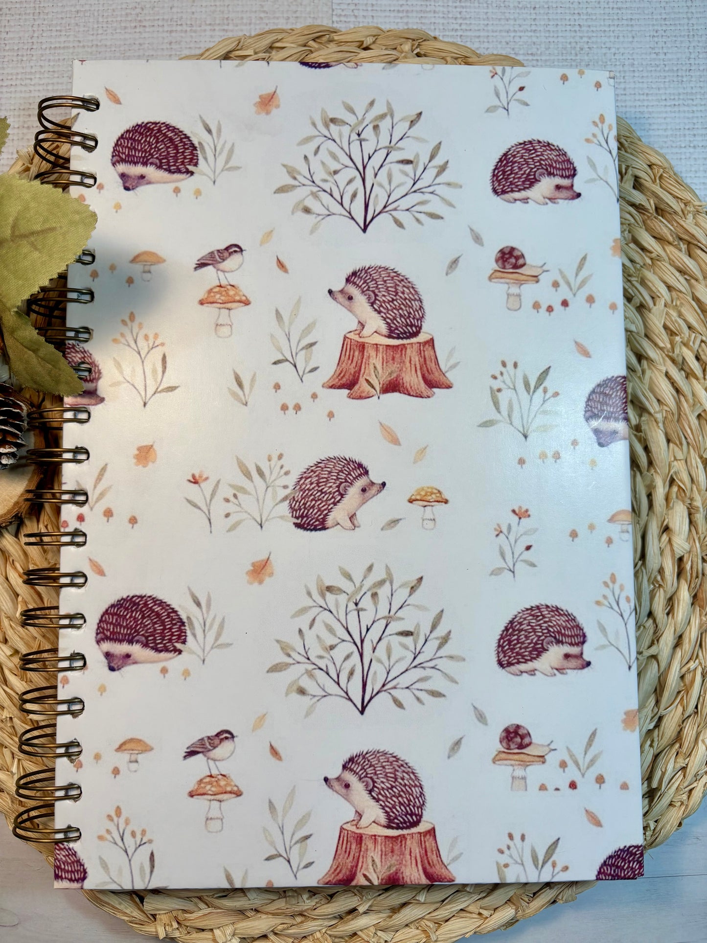 Ensemble de notes assortie sur le thème petits hérissons .