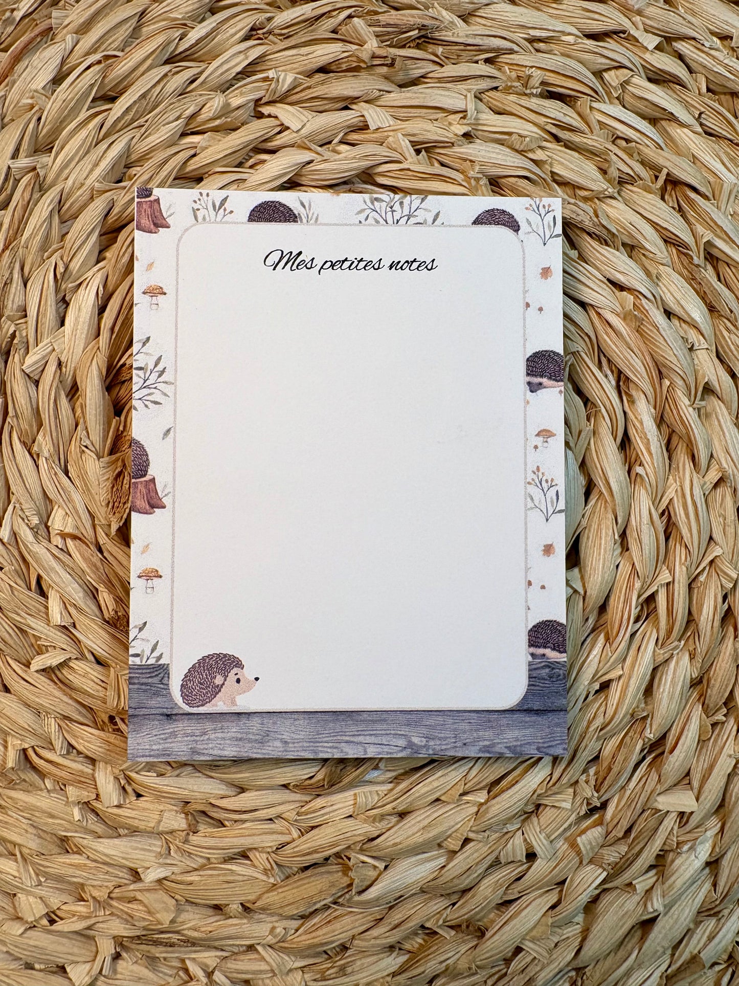 Ensemble de notes assortie sur le thème petits hérissons .